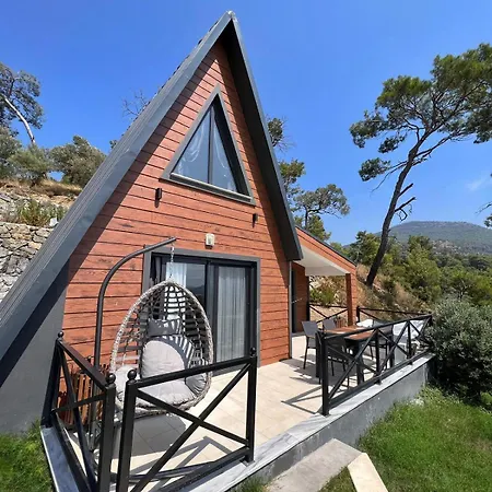 Olympos & Vila *